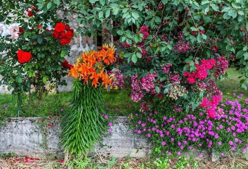 Fotos del hotel Family Guesthouse In Forest Ana & Stjepan Nikoli?:  13