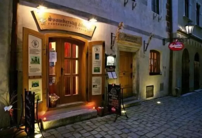 Fotos del hotel Svambersky Dum:  24