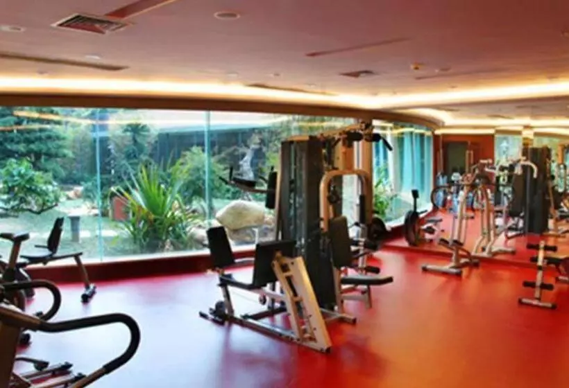 Fotos del hotel Wellton International:  12