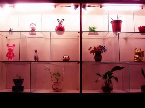 Fotos del hotel Homekey:  6