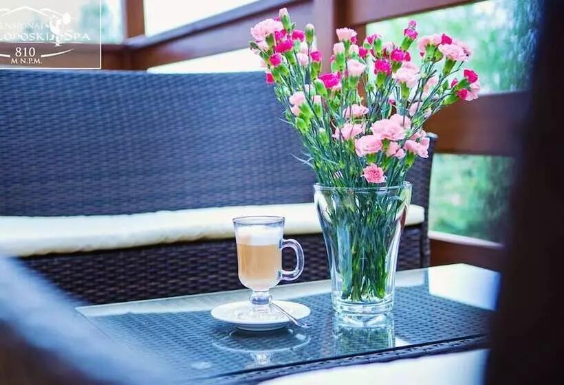 Fotos del hotel Karkonoski Spa:  3