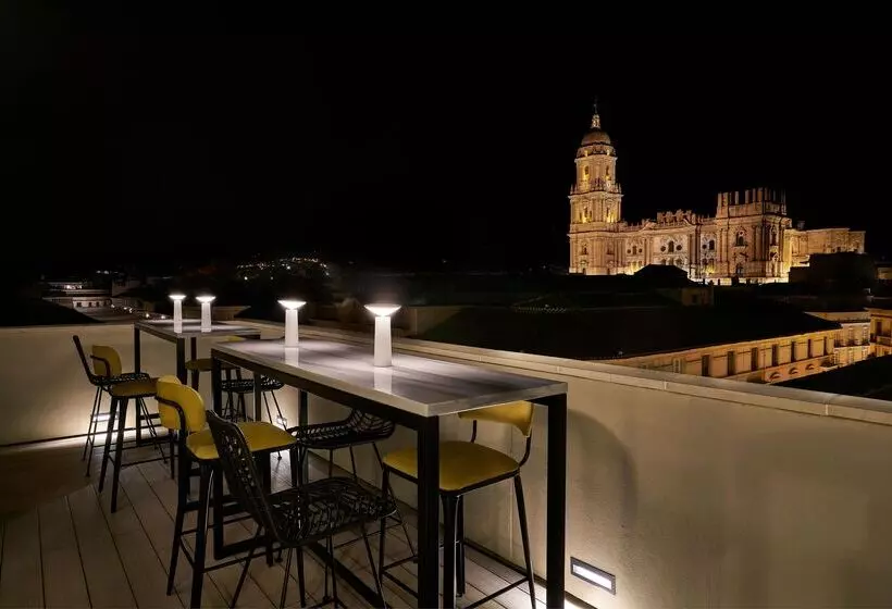 Fotos del hotel Vincci Larios Diez:  7