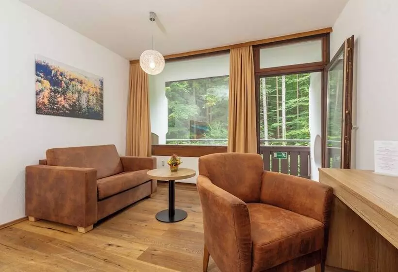 Fotos del hotel Appartement Dachstein:  19