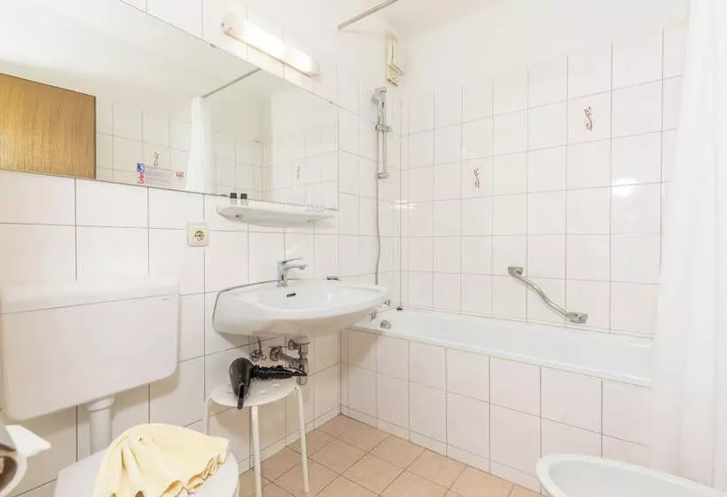 Fotos del hotel Appartement Dachstein:  23