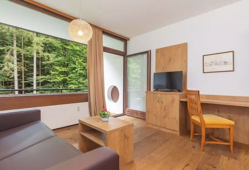Fotos del hotel Appartement Dachstein:  20