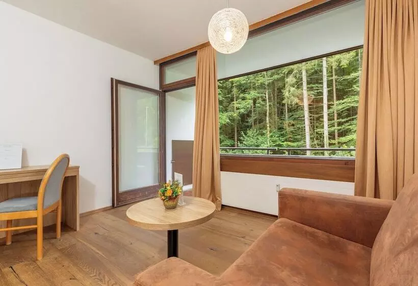 Fotos del hotel Appartement Dachstein:  22