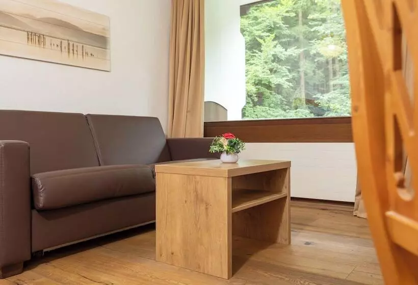 Fotos del hotel Appartement Dachstein:  16