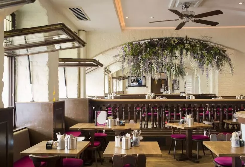 Fotos del hotel Deutsche Eiche:  16