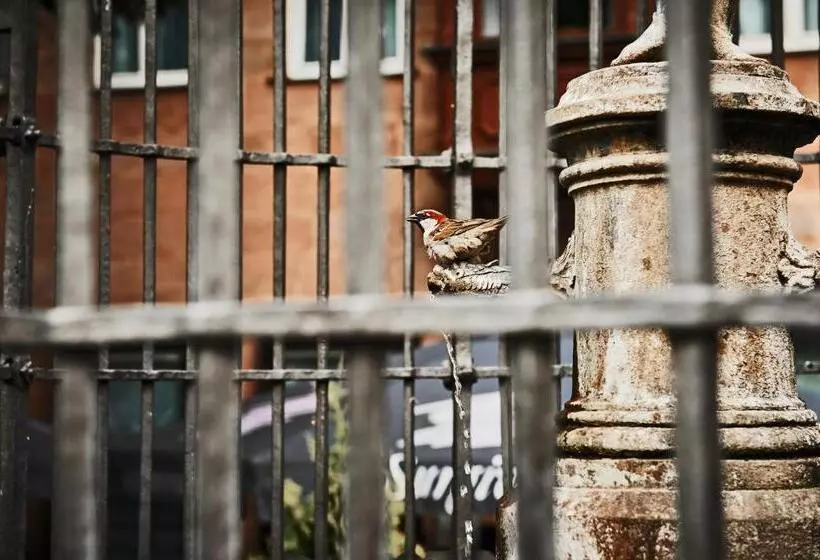 Fotos del hotel Hauser Boutique:  17