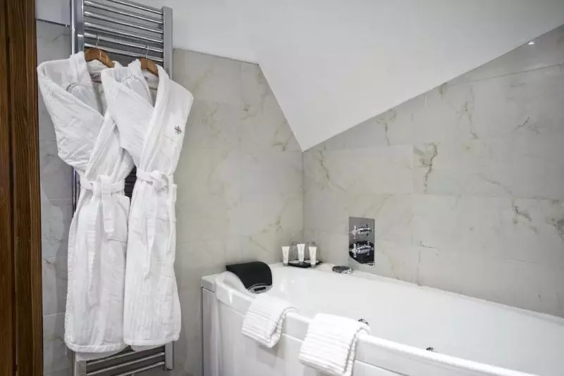 Fotos del hotel & Spa Le Bouclier D Or:  12