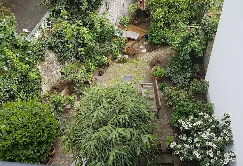 Fotos del hotel Stern:  13