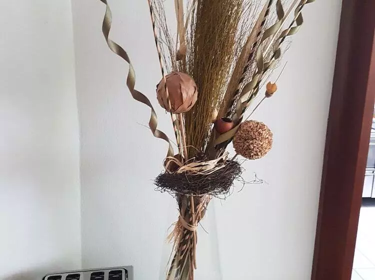 Fotos del hotel Stern:  7