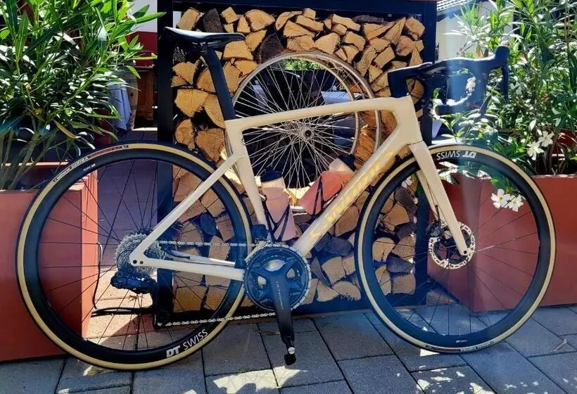 Fotos del hotel -restaurant Bierhäusle:  6