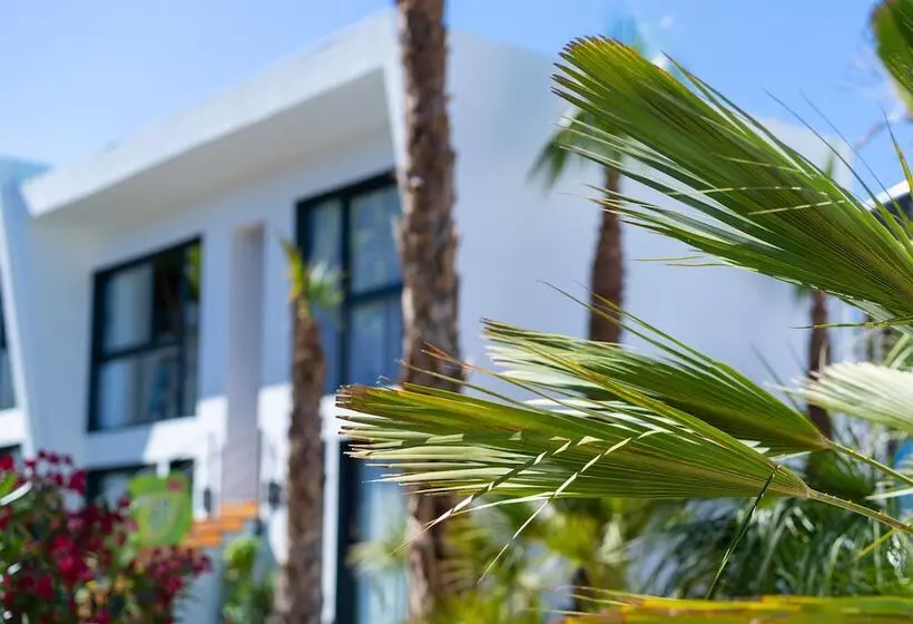Fotos del hotel Alannia Salou:  28
