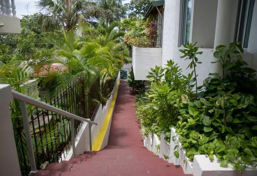 Fotos del hotel Neptuno's Refugio:  4