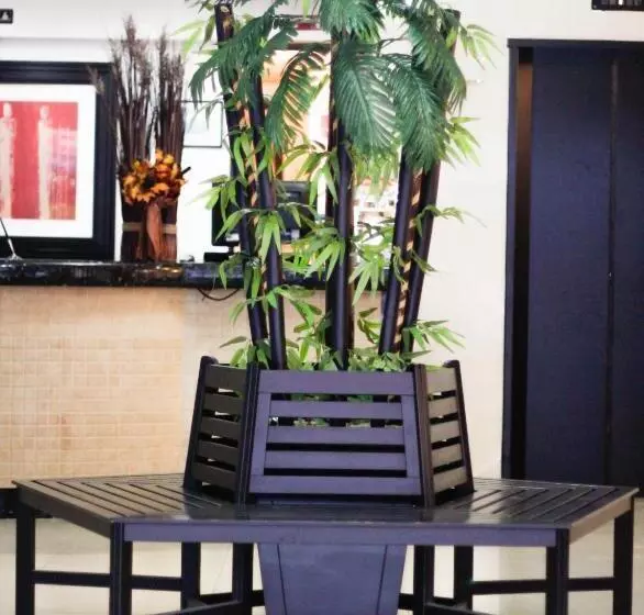 Fotos del hotel Choco's:  8