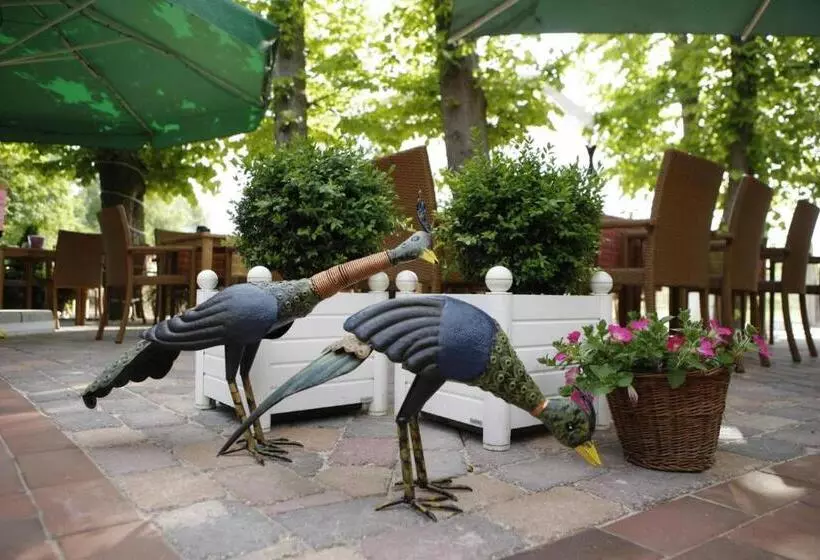 Fotos del hotel Robben:  21