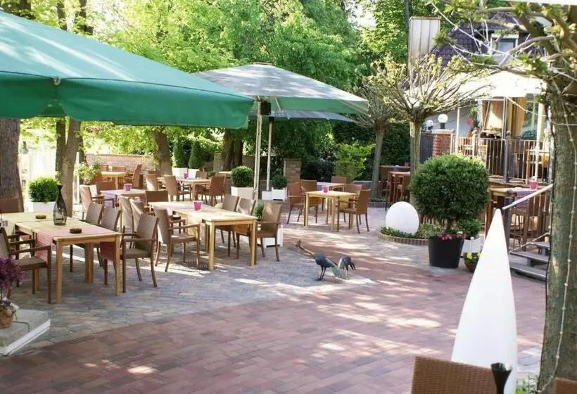 Fotos del hotel Robben:  11