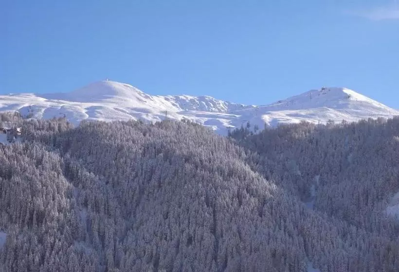 Fotos del hotel Chalet-hotel Larix:  17