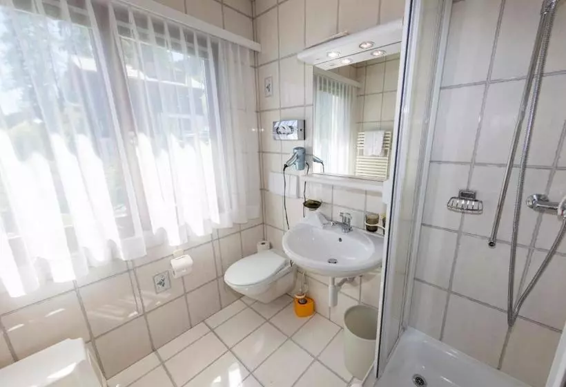 Fotos del hotel Chalet-hotel Larix:  9