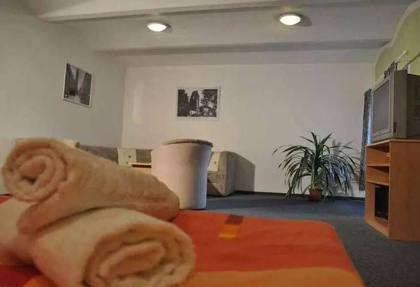 Fotos del hotel Penzion U Vlka:  25