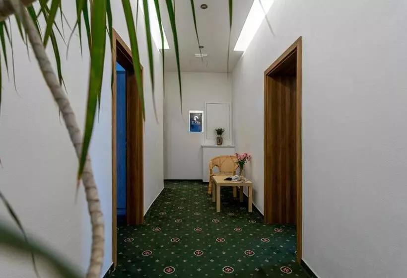 Fotos del hotel Penzion U Vlka:  12