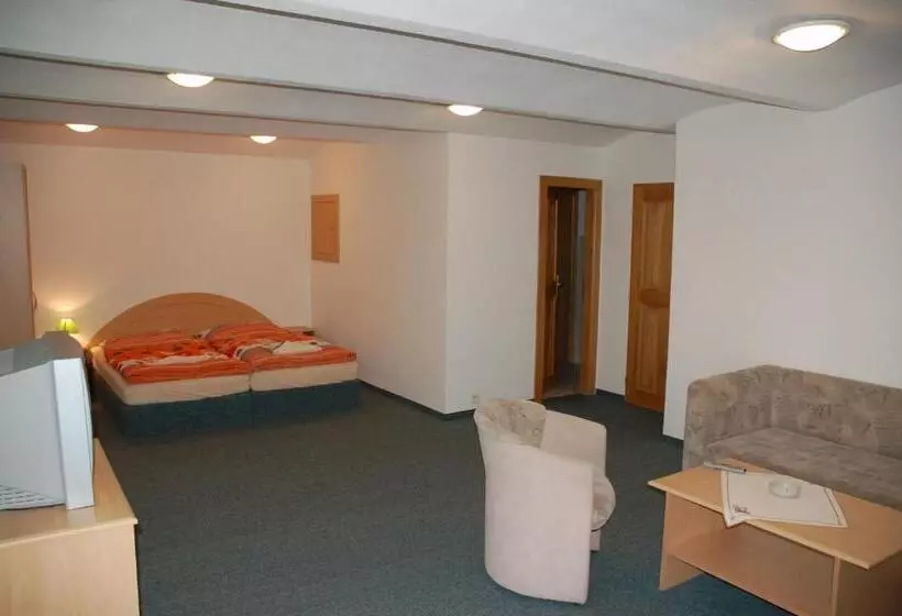 Fotos del hotel Penzion U Vlka:  22