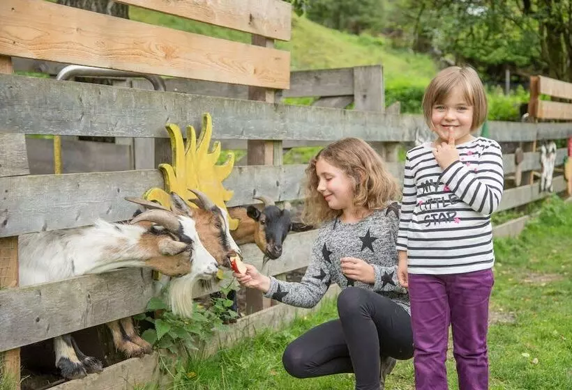 Fotos del hotel Stadt Wien:  15