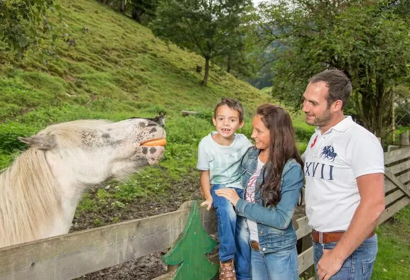 Fotos del hotel Stadt Wien:  9