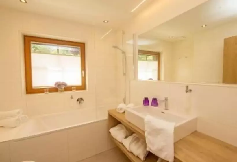 Fotos del hotel Stadt Wien:  24