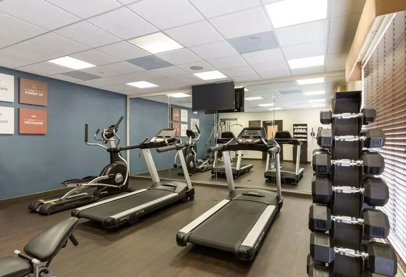 Fotos del hotel Comfort Suites Near Westchase On Beltway 8:  5