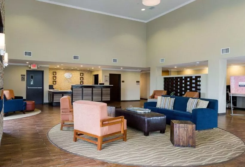 Fotos del hotel Comfort Suites Near Westchase On Beltway 8:  11