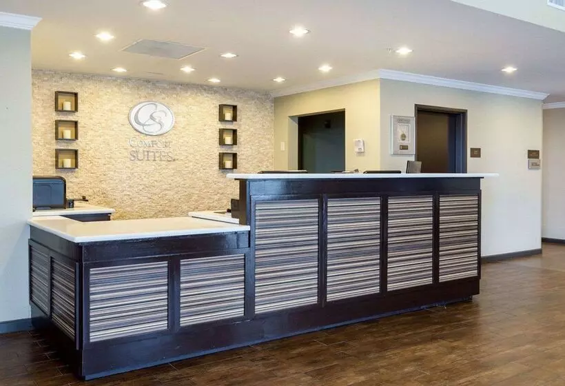 Fotos del hotel Comfort Suites Near Westchase On Beltway 8:  4