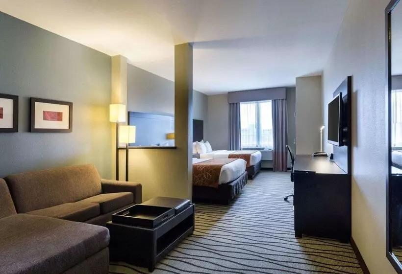 Fotos del hotel Comfort Suites Near Westchase On Beltway 8:  9