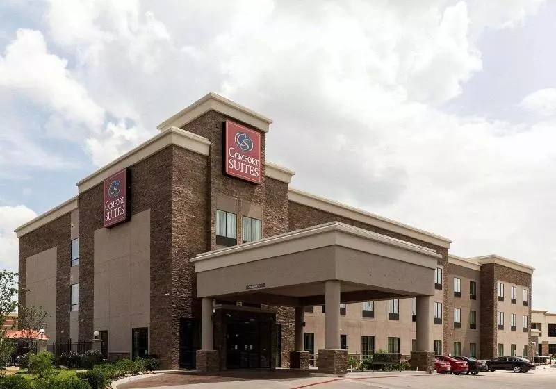 Fotos del hotel Comfort Suites Near Westchase On Beltway 8:  15