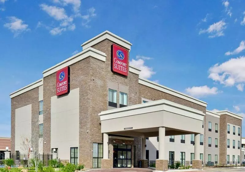 Fotos del hotel Comfort Suites Near Westchase On Beltway 8:  17