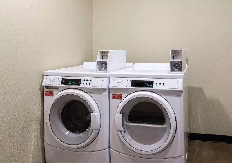 Fotos del hotel Comfort Suites Near Westchase On Beltway 8:  25