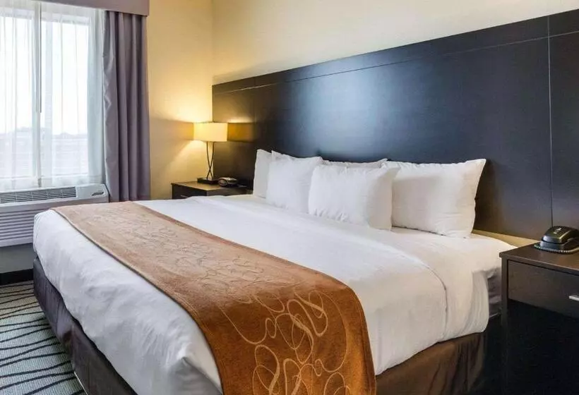 Fotos del hotel Comfort Suites Near Westchase On Beltway 8:  16