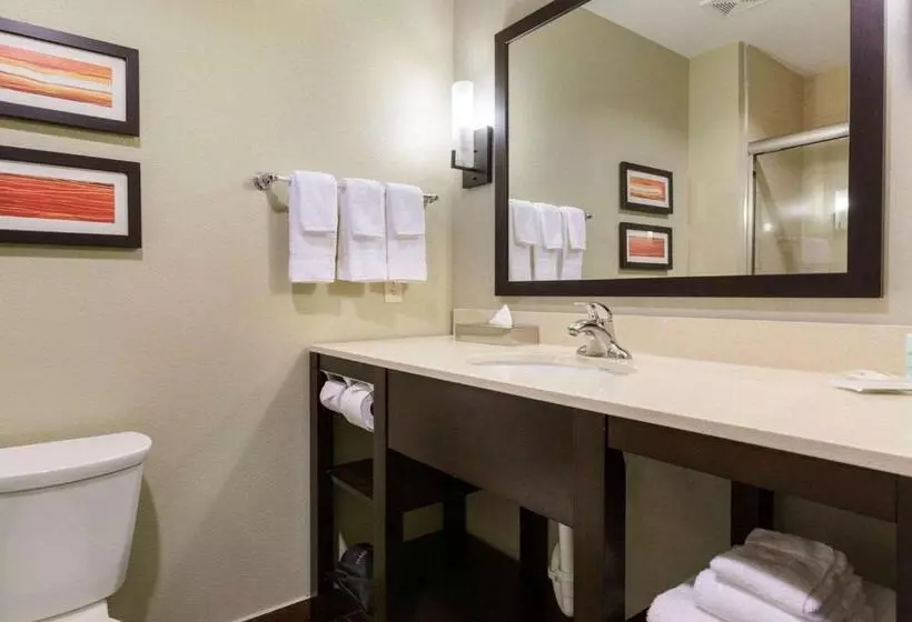 Fotos del hotel Comfort Suites Near Westchase On Beltway 8:  12