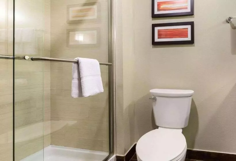 Fotos del hotel Comfort Suites Near Westchase On Beltway 8:  7