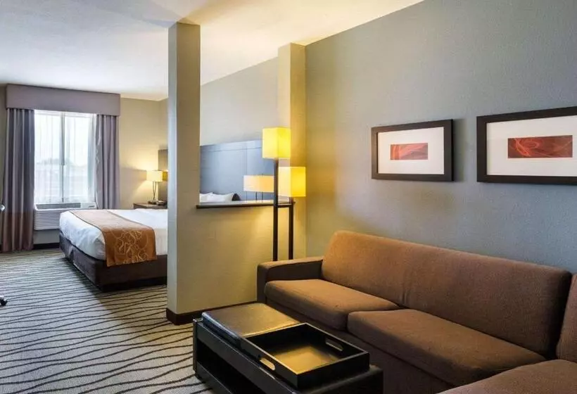 Fotos del hotel Comfort Suites Near Westchase On Beltway 8:  18