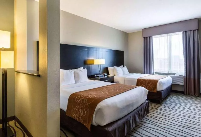 Fotos del hotel Comfort Suites Near Westchase On Beltway 8:  14