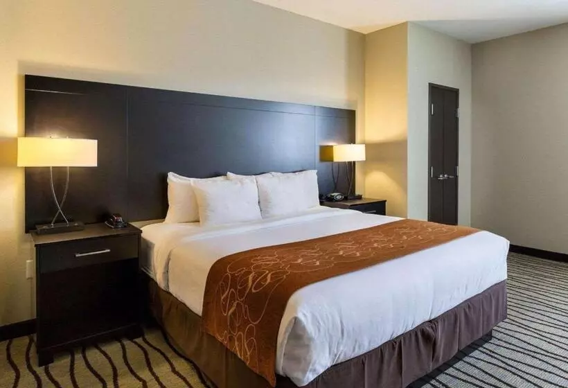 Fotos del hotel Comfort Suites Near Westchase On Beltway 8:  20