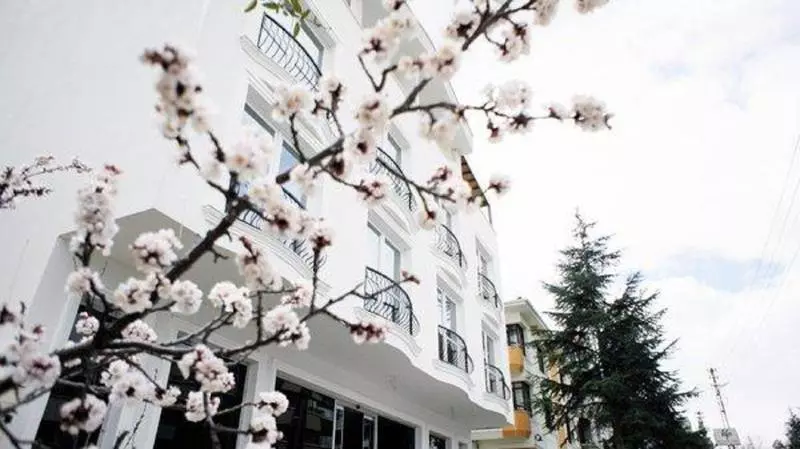 Fotos del hotel Koza Suite:  5