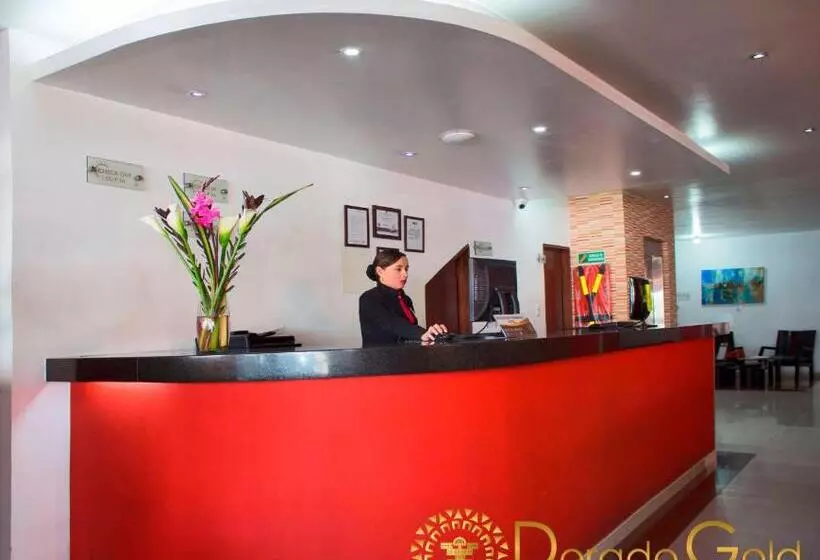 Fotos del hotel Dorado Gold Airport:  11