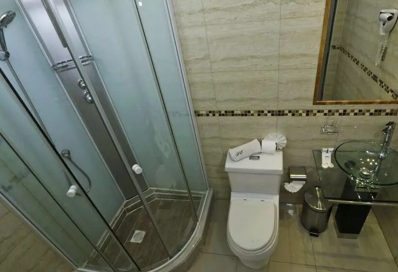 Fotos del hotel Principado Lastarria:  10