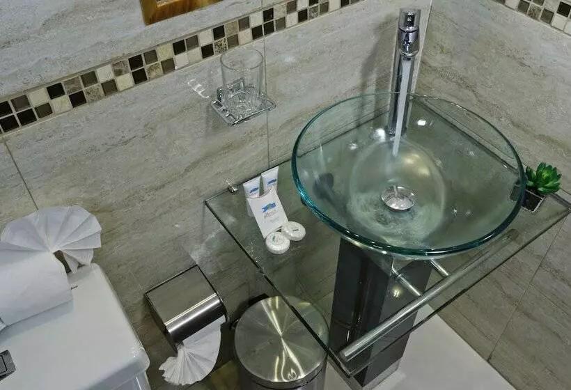 Fotos del hotel Principado Lastarria:  4