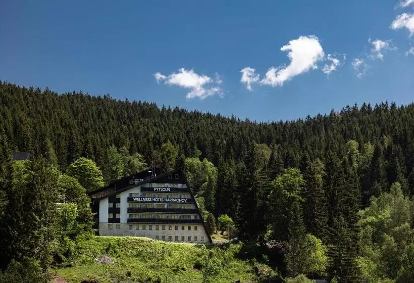 Pytloun Wellness  Harrachov