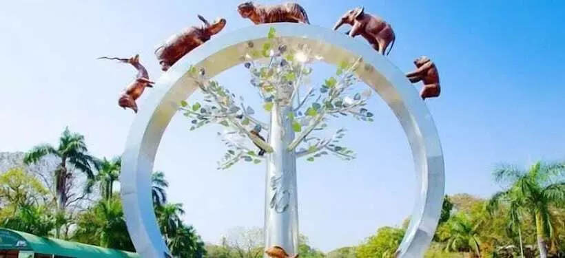 Fotos del hotel The Down Town:  8