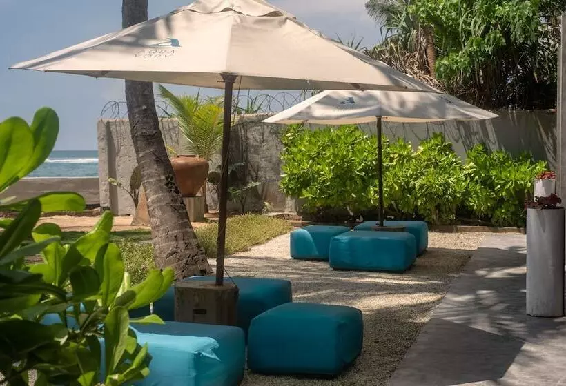 Fotos del hotel Cantaloupe Aqua:  9